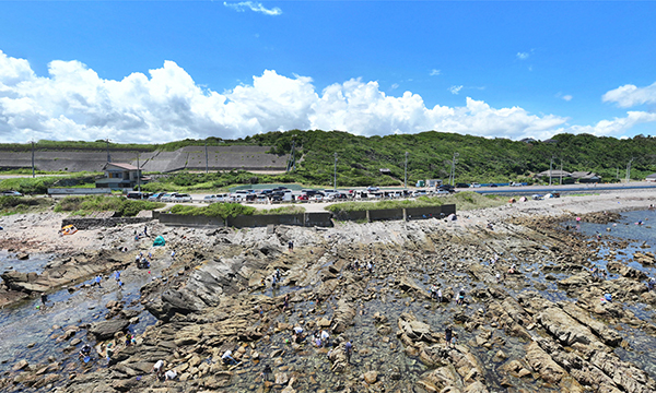 茨城県ひたちなか市の磯崎海岸・中生代白亜紀層