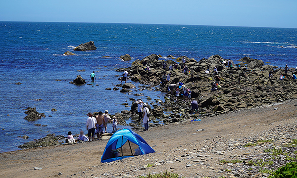 茨城県ひたちなか市の磯崎海岸漁港付近