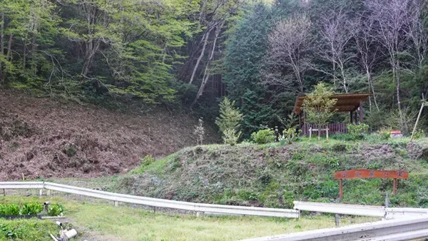 茨城県常陸大宮市の水之沢の水芭蕉の里