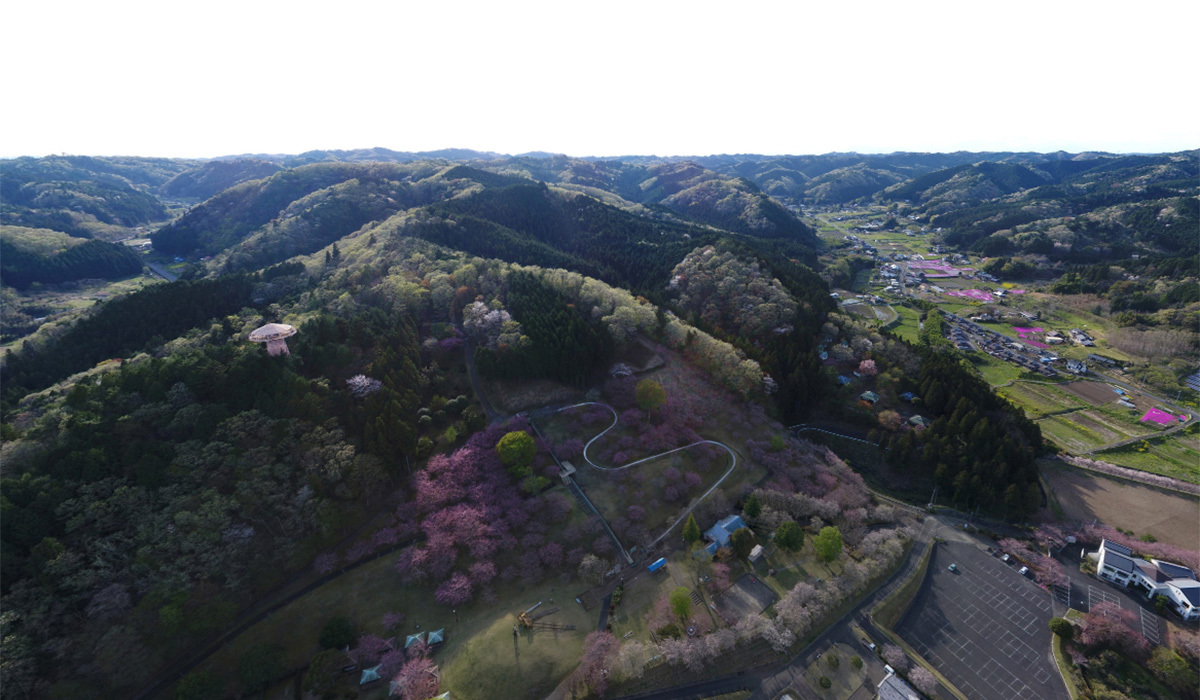 観光名所やすらぎの里公園