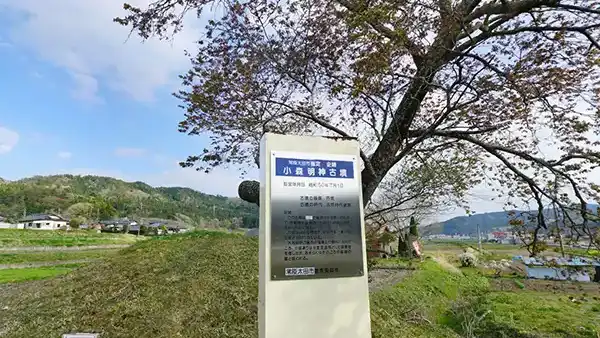 常陸太田市の小森明神古墳の山桜VRツアー