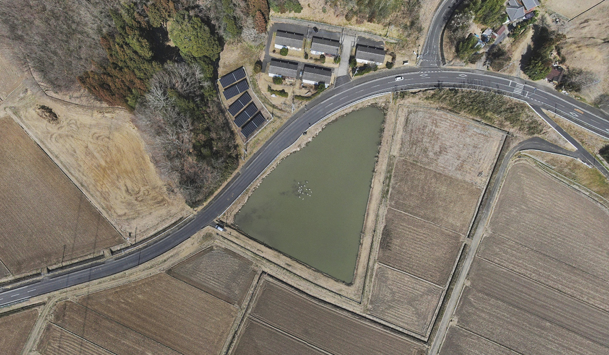 五反田ため池の上空148mからの白鳥飛来地空撮VRツアー