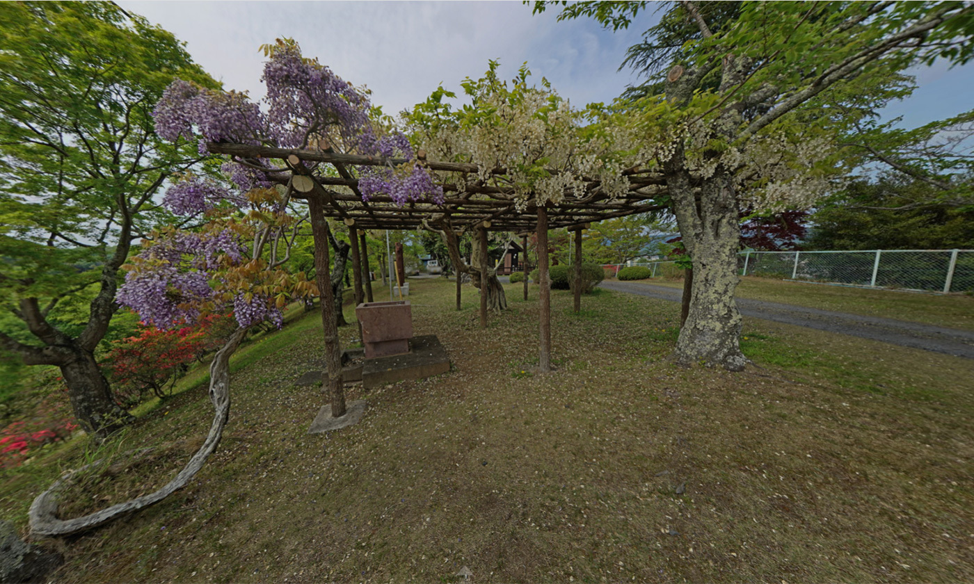 茨城県常陸太田市西山公園の白藤棚の観光VRツアー