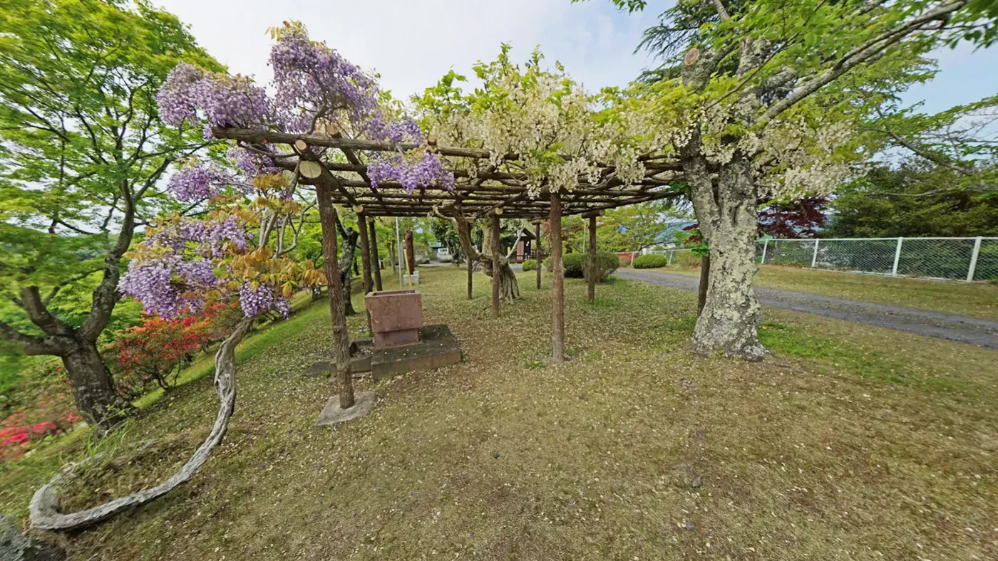 茨城県常陸太田市西山公園の白藤棚の観光VRツアー