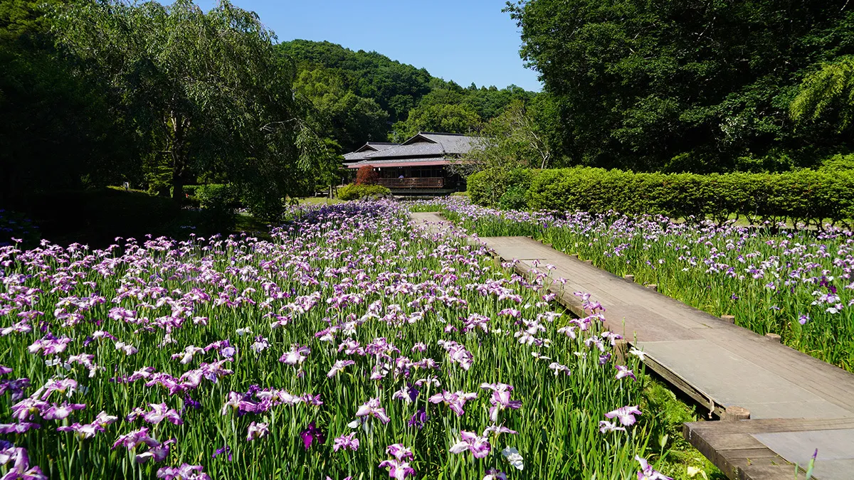 常陸太田市おすすめ季節観光スポットの西山の里 桃源