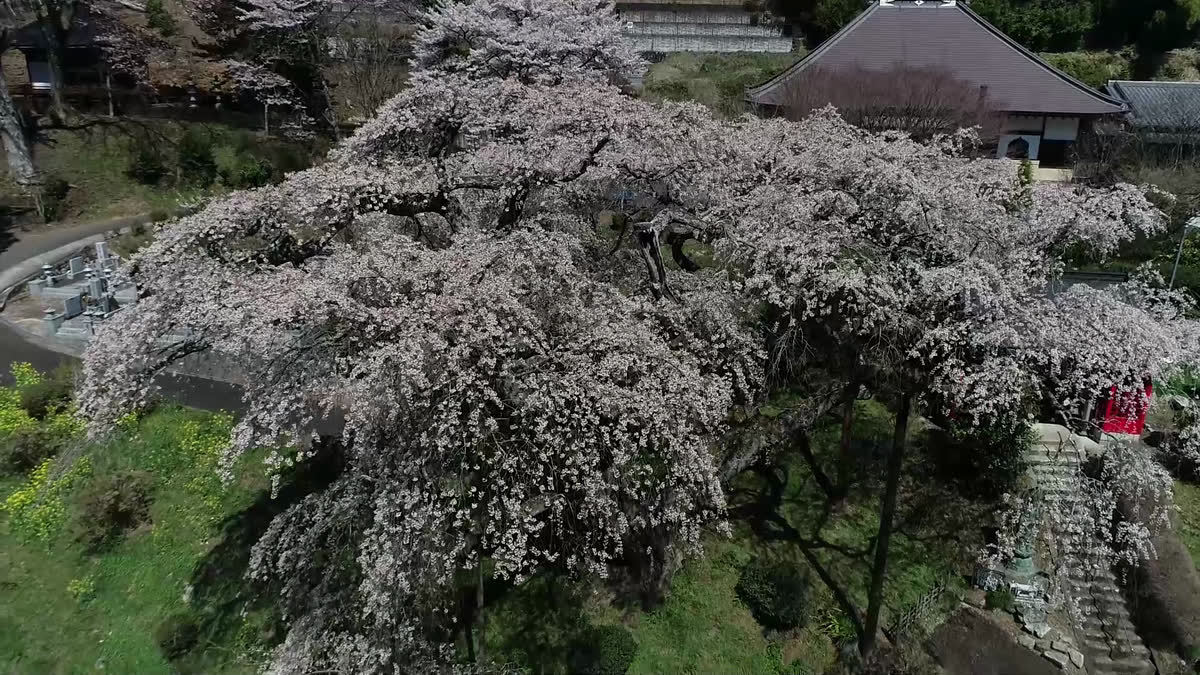 泉福寺空撮動画のサムネイル