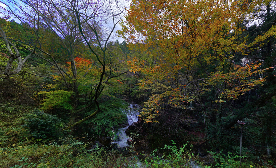 茨城県常陸太田市里見の横川の下滝
