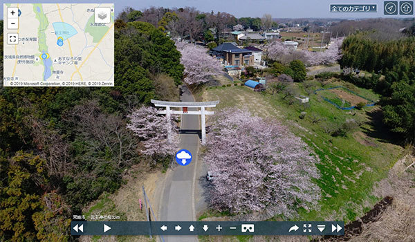 常総市の一言主神社の桜ソメイヨシノVRツアー