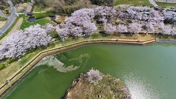 つくば市おすすめ観光スポットの北条大池