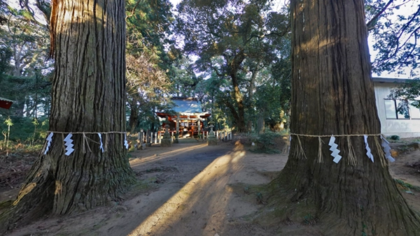 鉾田市の新宮神社の参道の巨木御神木の景観写真とVRツアーリンク