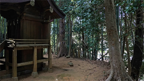 本殿脇の樹叢等景観写真とVRツアーのリンク