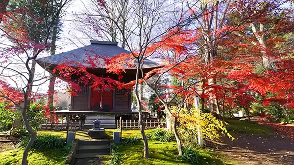 茨城県筑西市の紅葉名所最勝寺