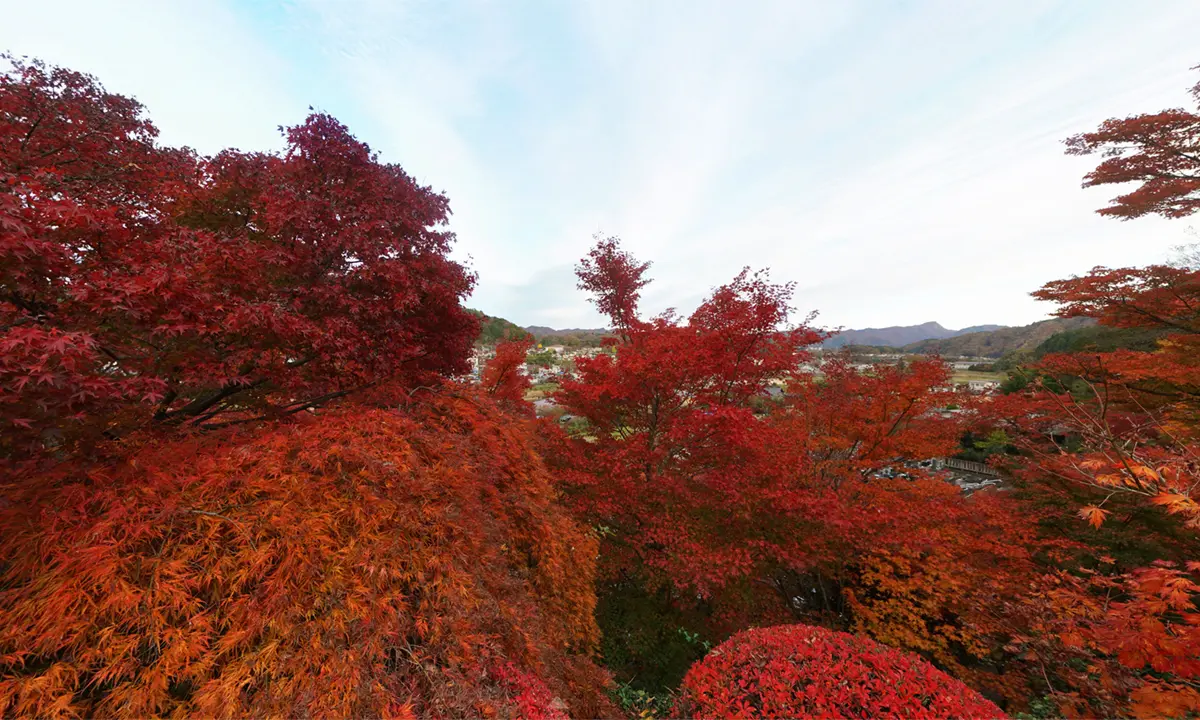 茨城県大子町の永源寺の本堂前から紅葉観光VRツアー