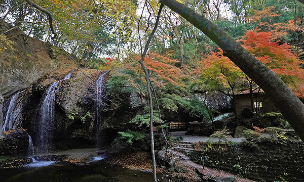 茨城県大子町の月待の滝の紅葉景観