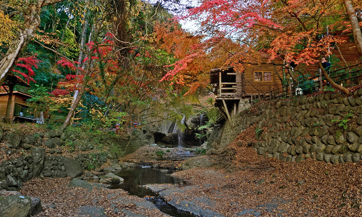 大子町の月待の滝道沿いの紅葉景観VRツアー