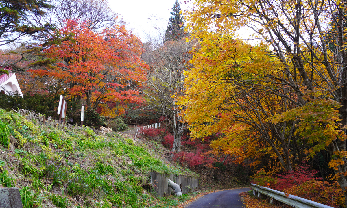 茨城県大子町の八溝山日輪寺の参道の紅葉の景観