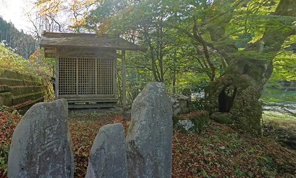 大子町の八溝龍子神ともみじの紅葉の景観