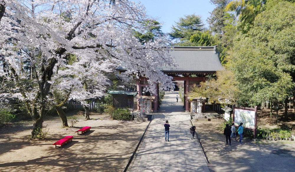 茨城県下妻市の神社・歴史観光名所の大宝八幡宮