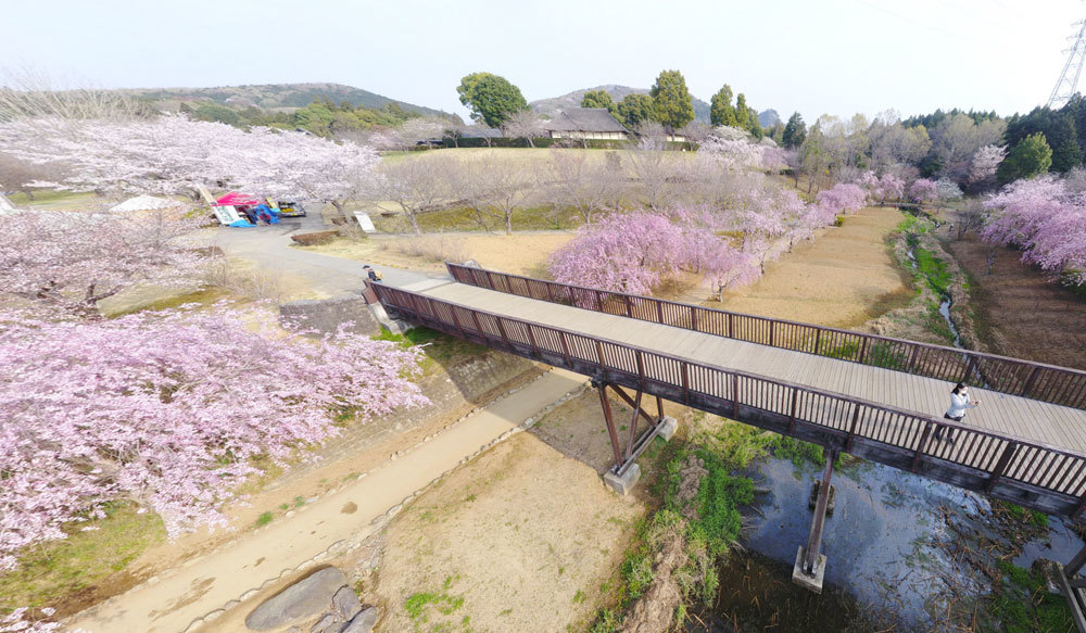 茨城県石岡市の歴史・体験・自然観光名所の常陸風土記の丘