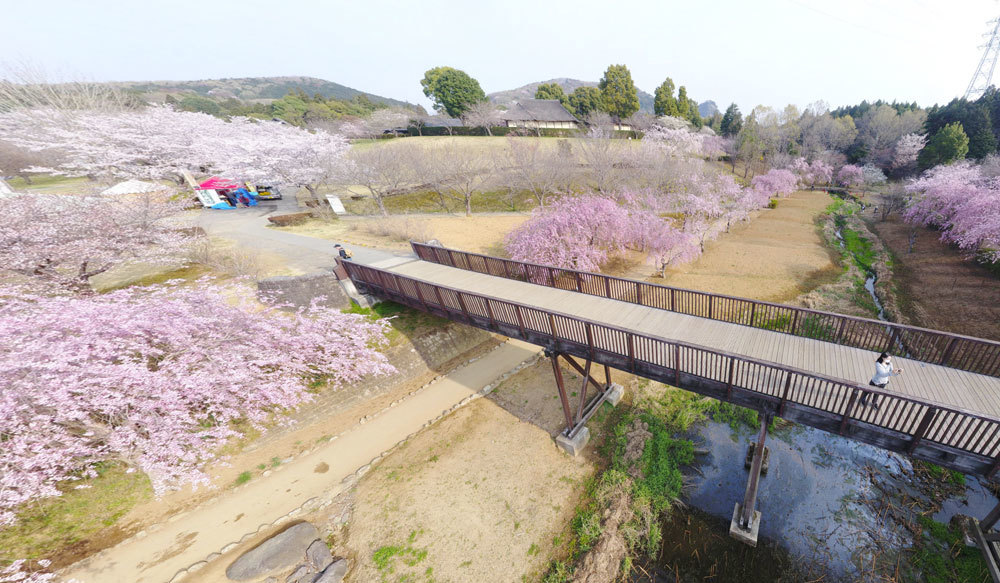 茨城県石岡市の歴史・体験・自然観光名所の常陸風土記の丘