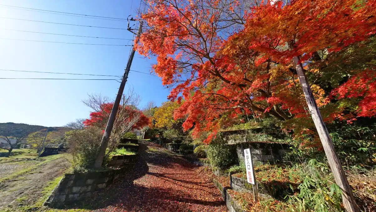 茨城県常陸太田市の旧町屋変電所裏の紅葉の様子