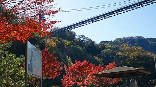 茨城県常陸太田市の竜神大吊橋の紅葉景観