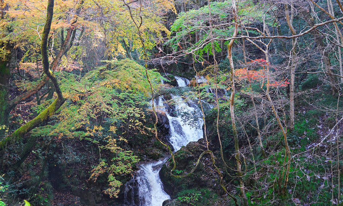 茨城県常陸太田市の横川の下滝の紅葉VRツアー