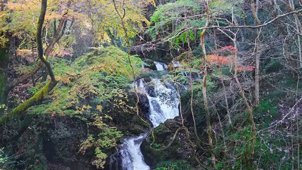 茨城県常陸太田市の横川の下滝の紅葉VRツアー