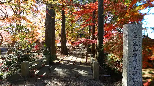 茨城県茨城町の福性寺の黄葉