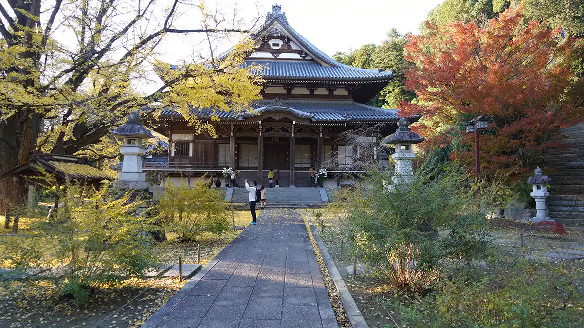 茨城県笠間市の稲田禅房西念寺の本堂とお葉付イチョウの様子