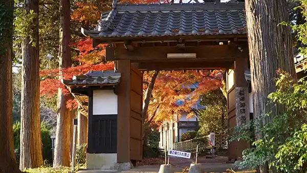 茨城県笠間市の稲田御坊西門の紅葉VRツアー