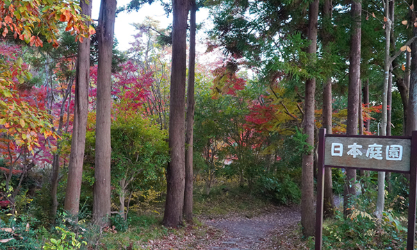 茨城県の笠松運動公園の日本庭園の入口の紅葉