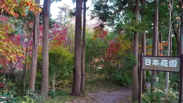 茨城県の笠松運動公園の日本庭園の入口の紅葉