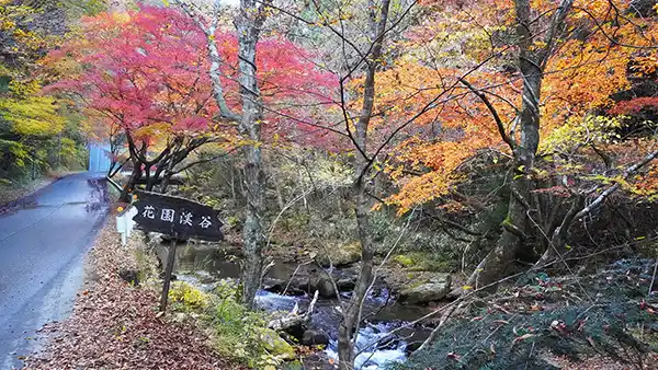 茨城県北茨城市の花園渓谷の紅葉VRツアー