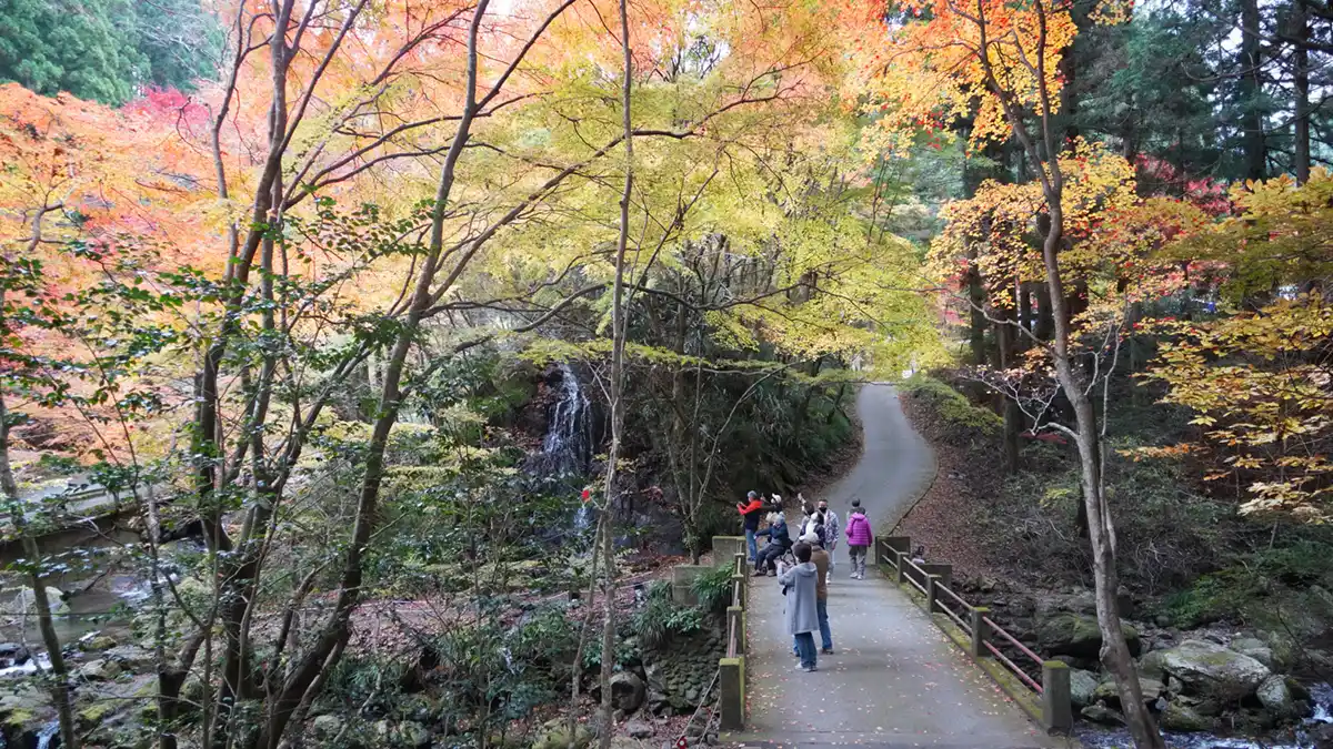 茨城県北茨城市の花園神社の石尊の滝と渓谷の紅葉VRツアー