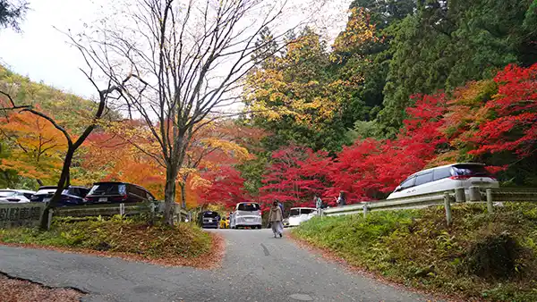 茨城県北茨城市の紅葉名所花園神社