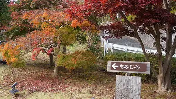 茨城県水戸市の紅葉名所偕楽園もみじ谷