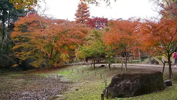 水戸市の偕楽園もみじ谷北西側の紅葉VRツアー