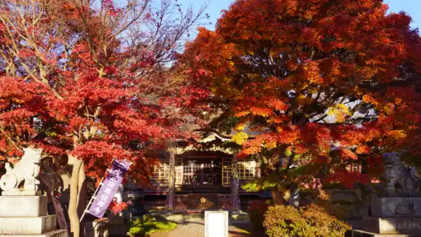 茨城県水戸市の紅葉名所桂岸寺