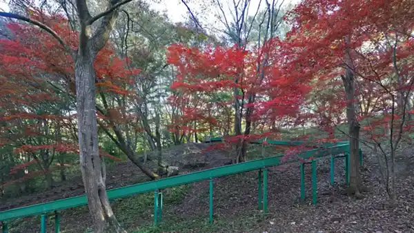 茨城県水戸市の水戸市森林公園の紅葉VRツアー