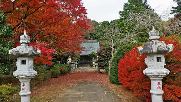 茨城県行方市の浄泉寺の紅葉VRツアー