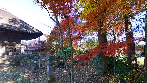 茨城県行方市の萬福寺の紅葉VRツアー