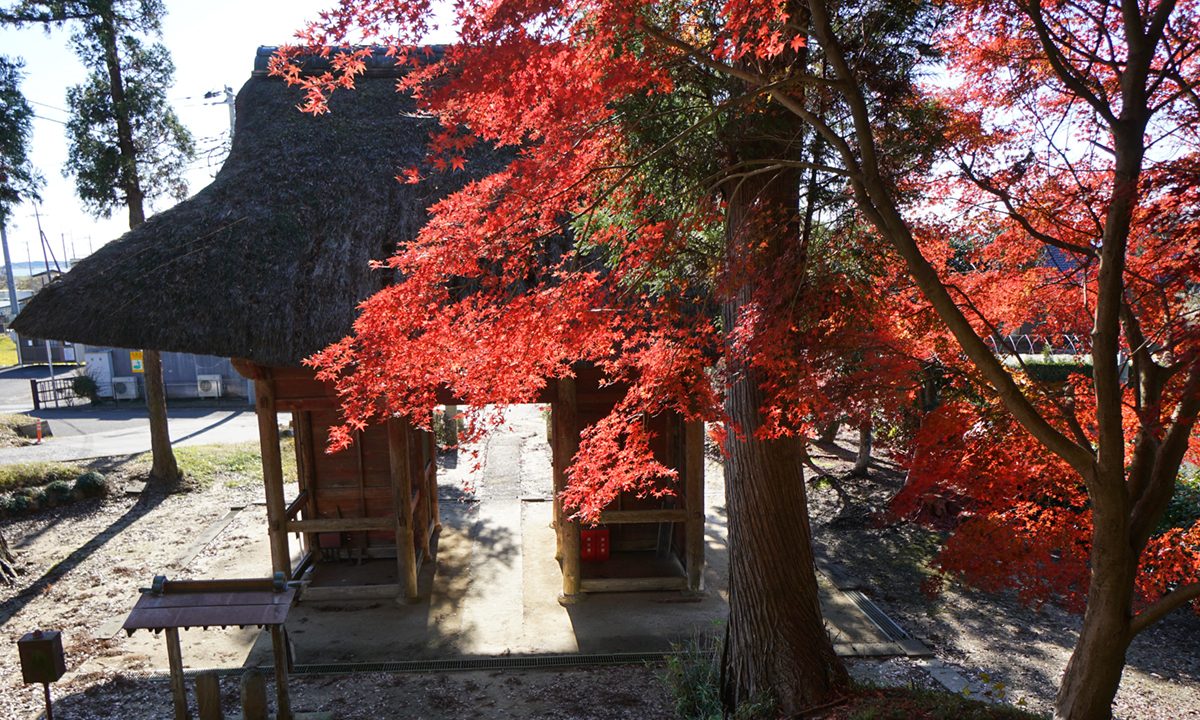 茨城県行方市の萬福寺の仁王門と紅葉の景観