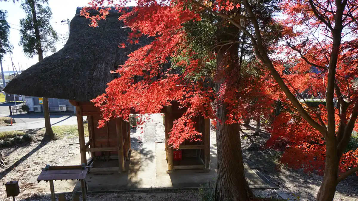 茨城県行方市の萬福寺の仁王門と紅葉の景観