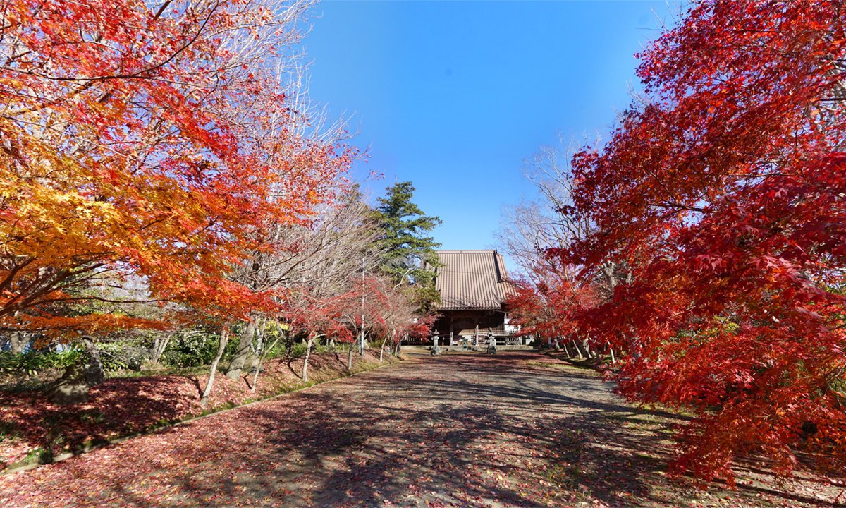 茨城県行方市の東福寺参道の紅葉の様子