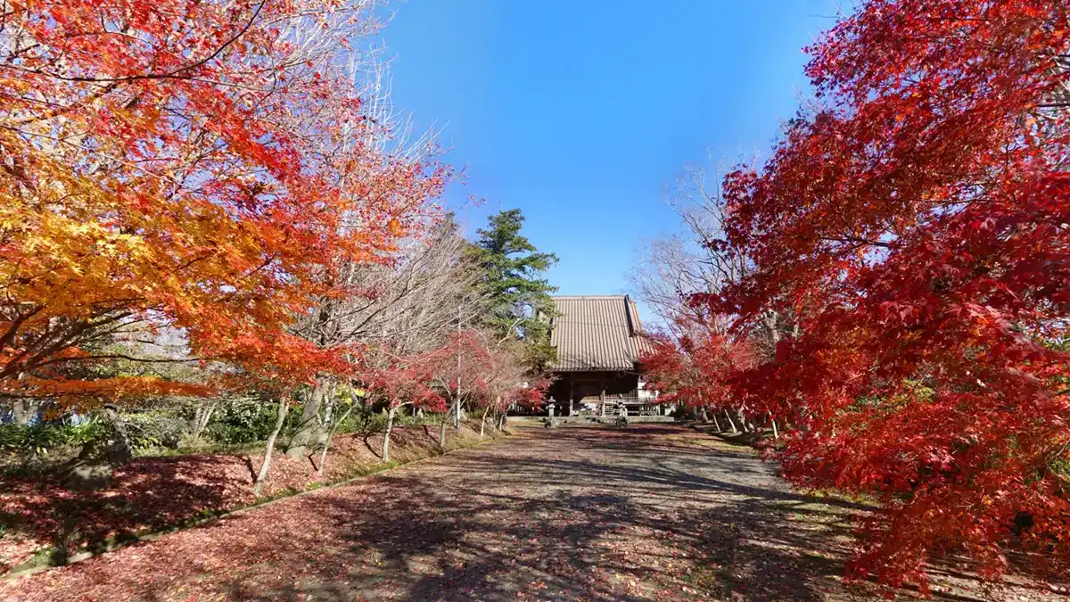 茨城県行方市の紅葉名所東福寺