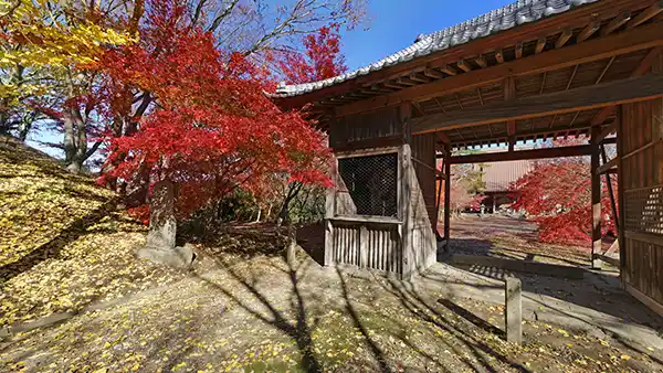 茨城県行方市の東福寺の紅葉VRツアー