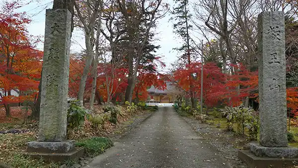 茨城県境町の大照院の紅葉VRツアー