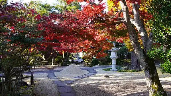 茨城県桜川市の月山寺の紅葉・黄葉VRツアー