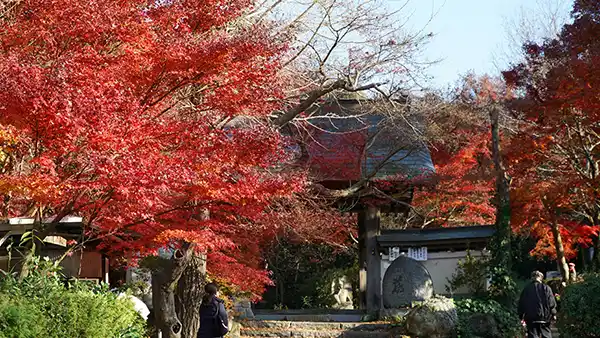 茨城県桜川市の紅葉名所薬王寺